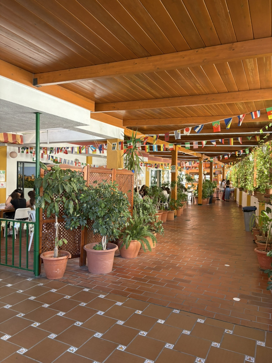 学生のテラスでの様子