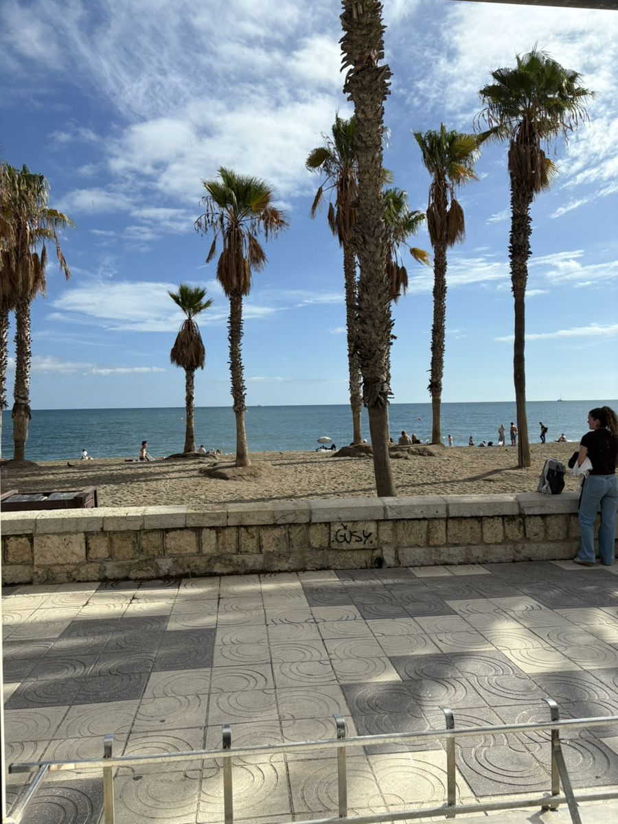 マラガ 港エリア