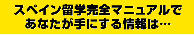 スペイン留学完全マニュアルであなたが手にする情報は・・・